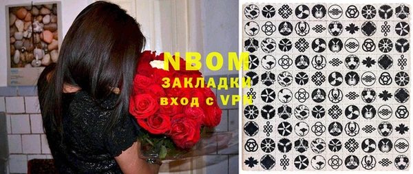 амф Бородино