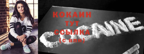 PSILOCYBIN Бронницы