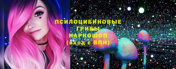 PSILOCYBIN Бронницы