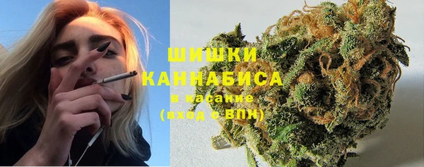 PSILOCYBIN Бронницы