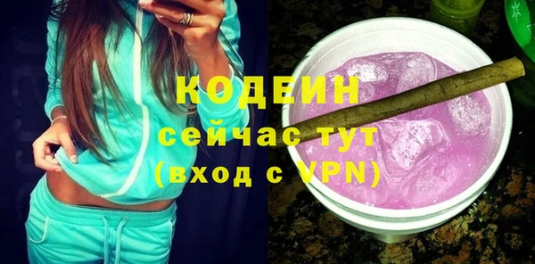 амф Бородино