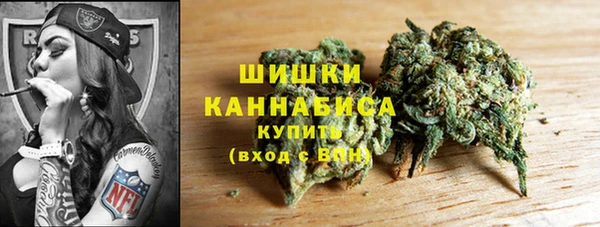 амф Бородино