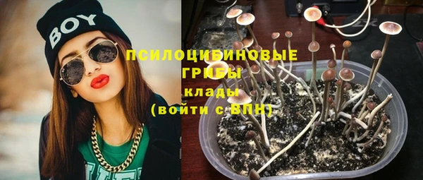 а пвп мука Бугульма