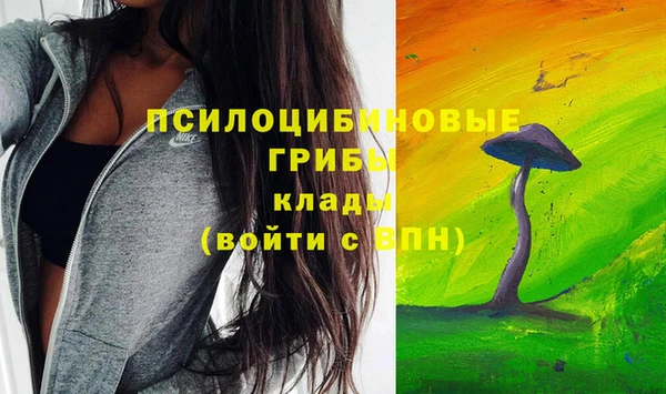 а пвп мука Бугульма