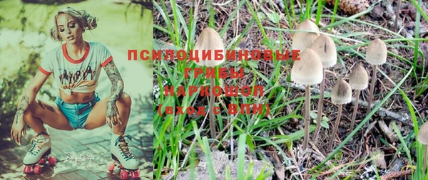 а пвп мука Бугульма