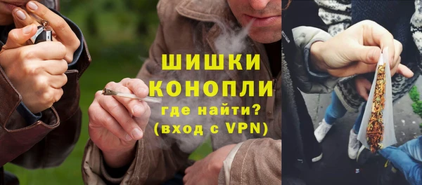 амф Бородино